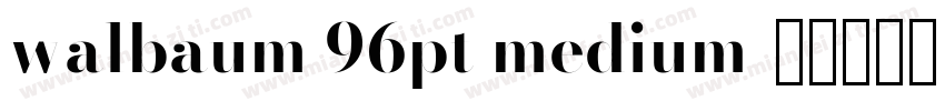 walbaum 96pt medium字体转换